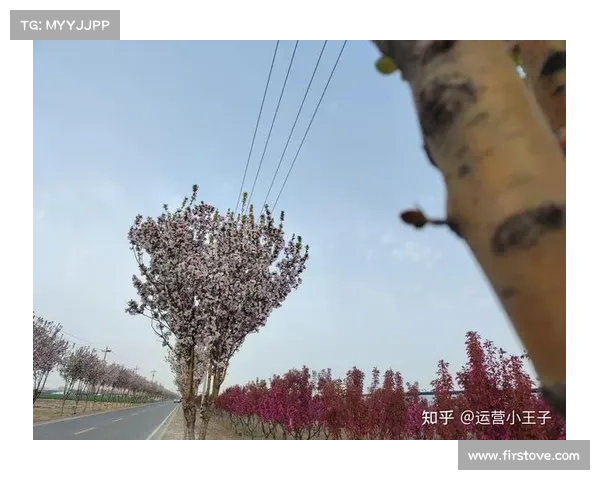 网页36技攻略-介绍小王子:36计攻略:纵横网页世界,叱咤互联网江湖 网页36技攻略-介绍小王子:36计攻略:纵横网页世界,叱咤互联网江湖